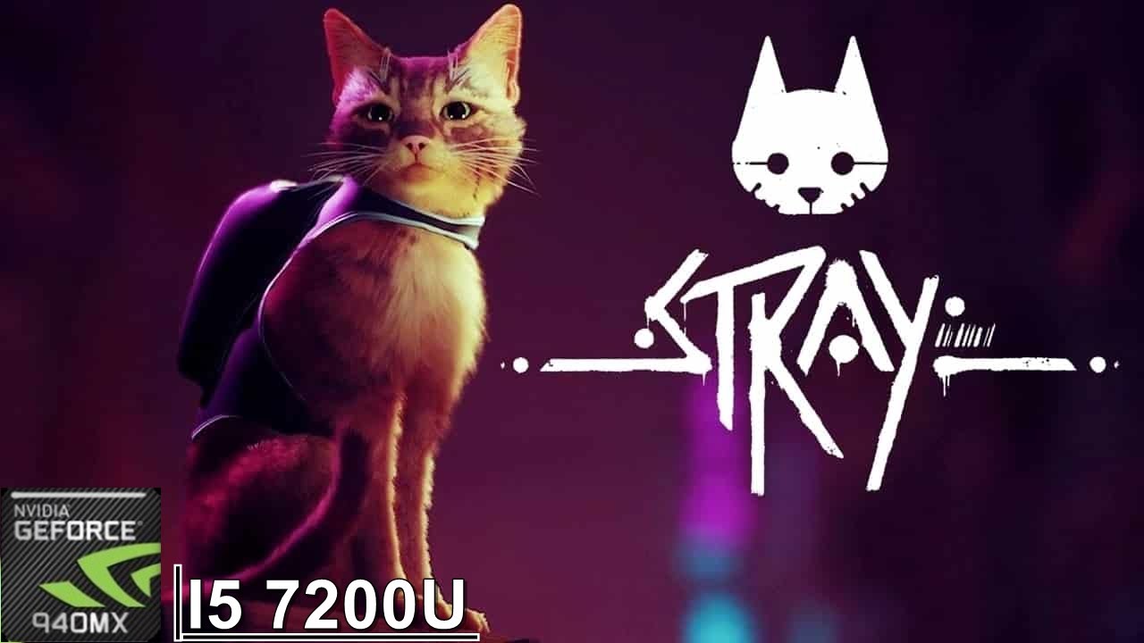 Stray || 940MX (MX130) || Acer Aspire A515 51G 58VH