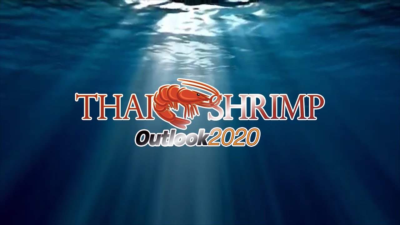THAI SHRIMP OUTLOOK 2020 🇹🇭🦐🍤