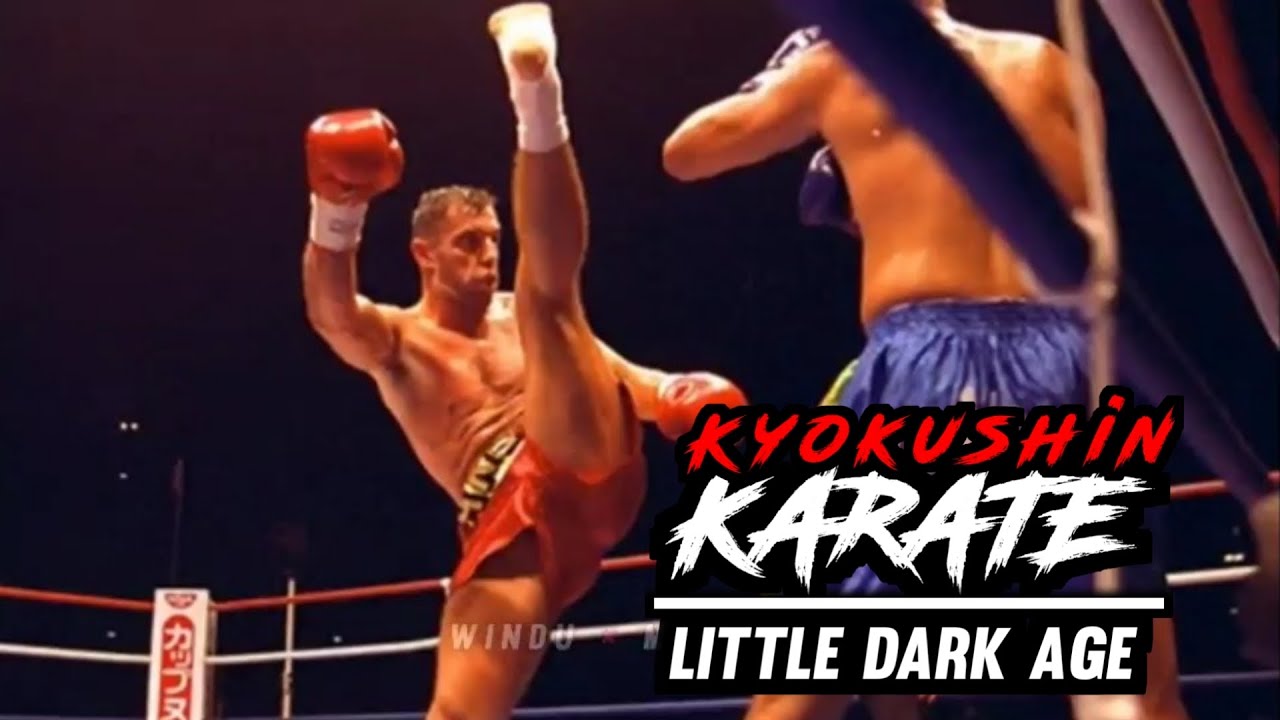 KYOKUSHIN KARATE | LITTLE DARK AGE | MOTIVATION