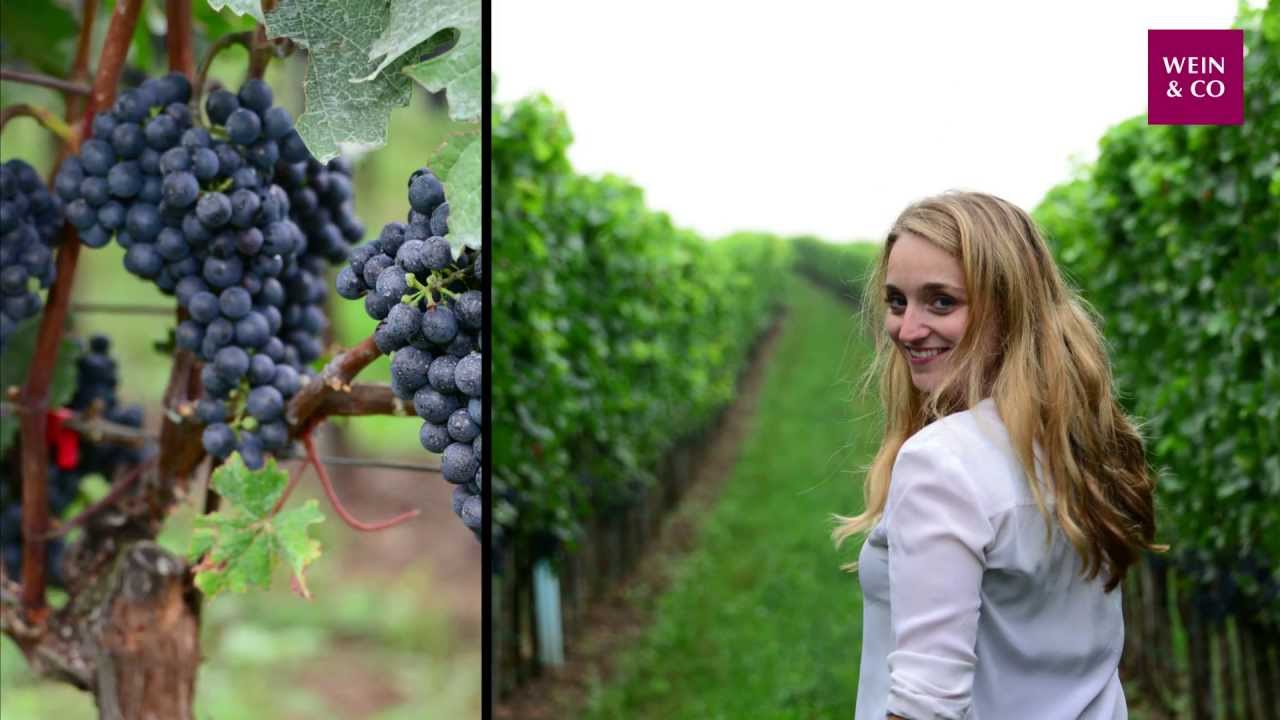 Winzer des Monats September 2015 - Christina Netzl