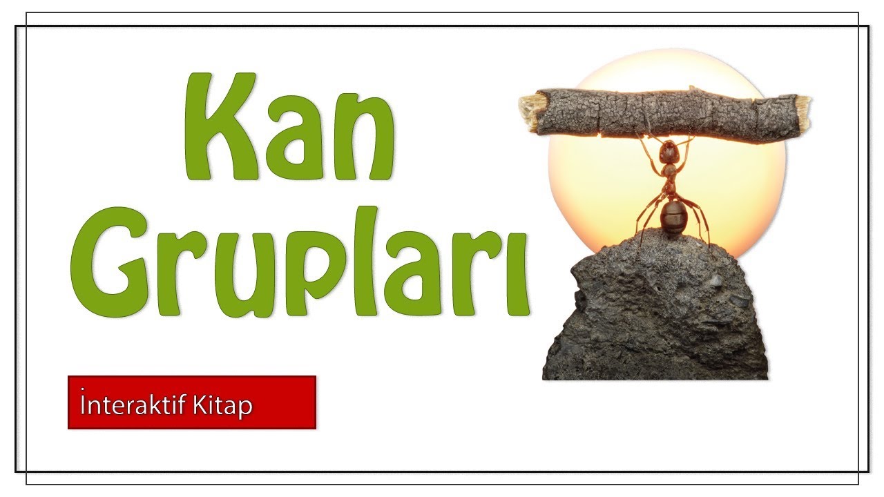 Kan Grupları#sayfa156