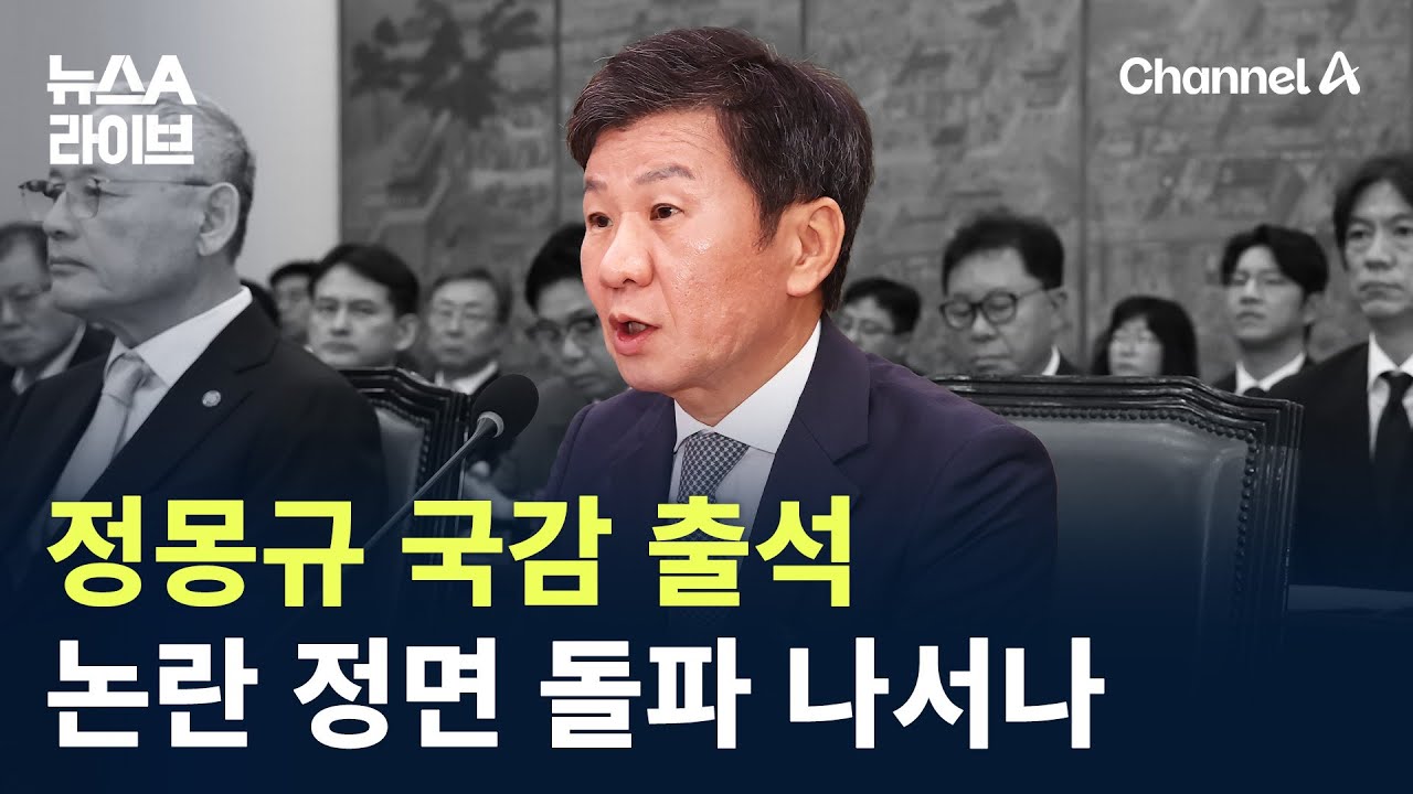 정몽규 국감 출석…논란 정면 돌파 나서나 / 채널A / 뉴스A 라이브