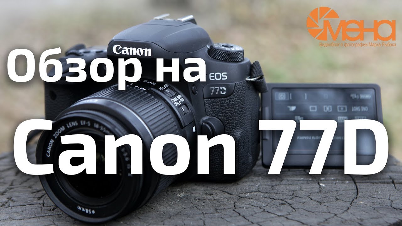 Обзор на Canon 77D (лучший фотоаппарат для новичка)