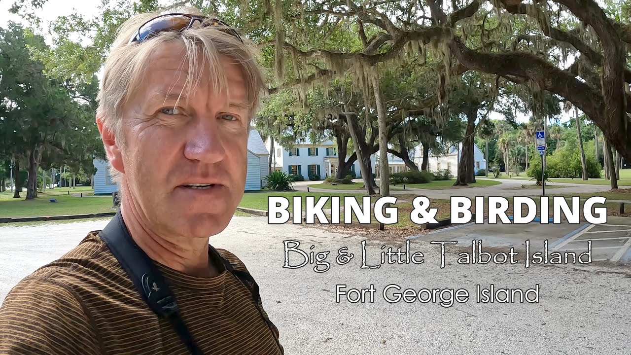 Birding & Biking at Big Talbot Island | Gray Kingbird |  Painted Bunting at Fort George Island
