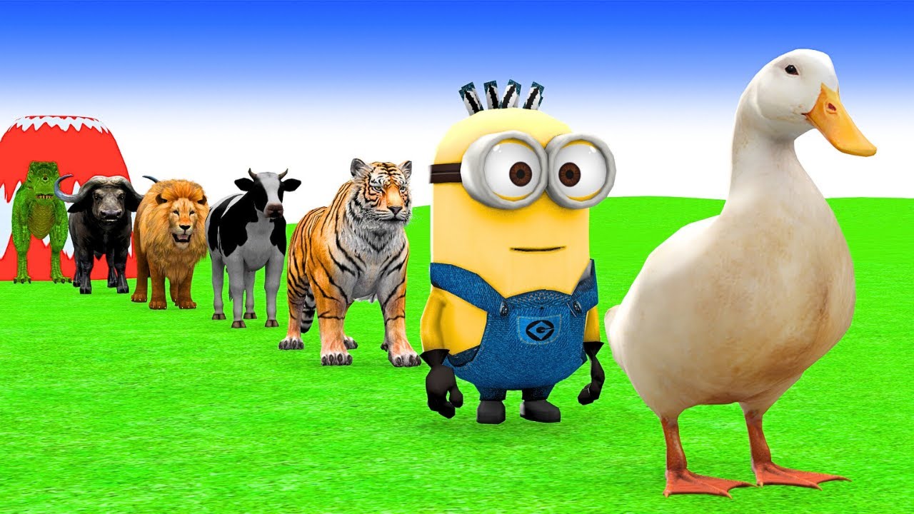 5 Giant Duck Cartoon,Cow,Elephant,Tiger,Lion,Dinosaur,Paint Wild Animals Crossing Fountain Animation