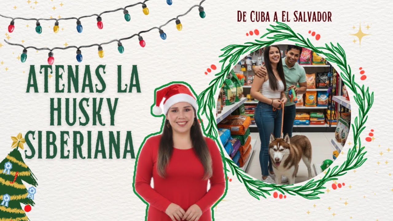 Atenas, La Husky Siberiana que Cruzó Fronteras.De Cuba a El Salvador a conocer la libertad.