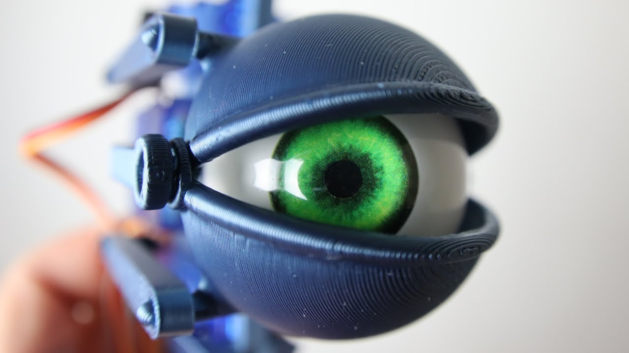 I built a Robotic Eye From Scratch!