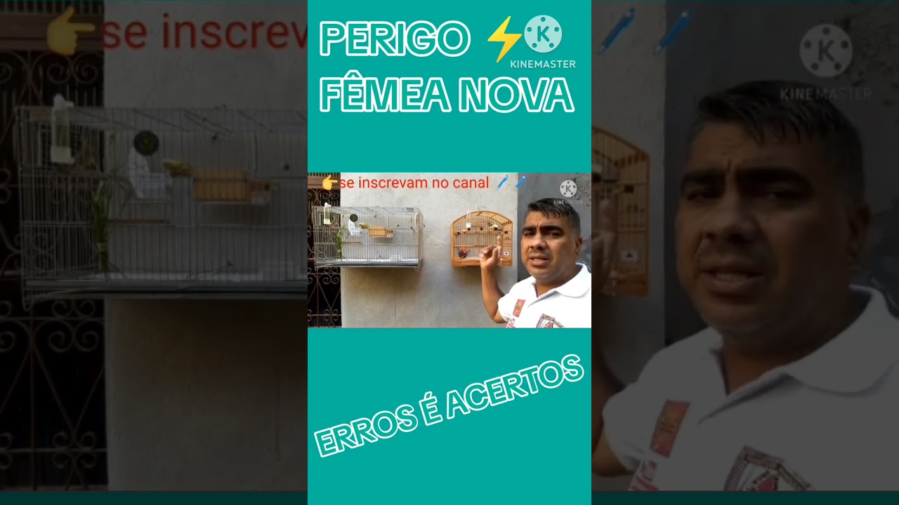 COMO ACERTAR A MEXIDA DE COLEIRO &Eacute; PAPA CAPIM COM F&Ecirc;MEA NOVA