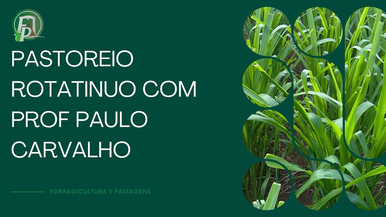 PASTOREIO ROTATÍNUO - Com prof Paulo Carvalho 