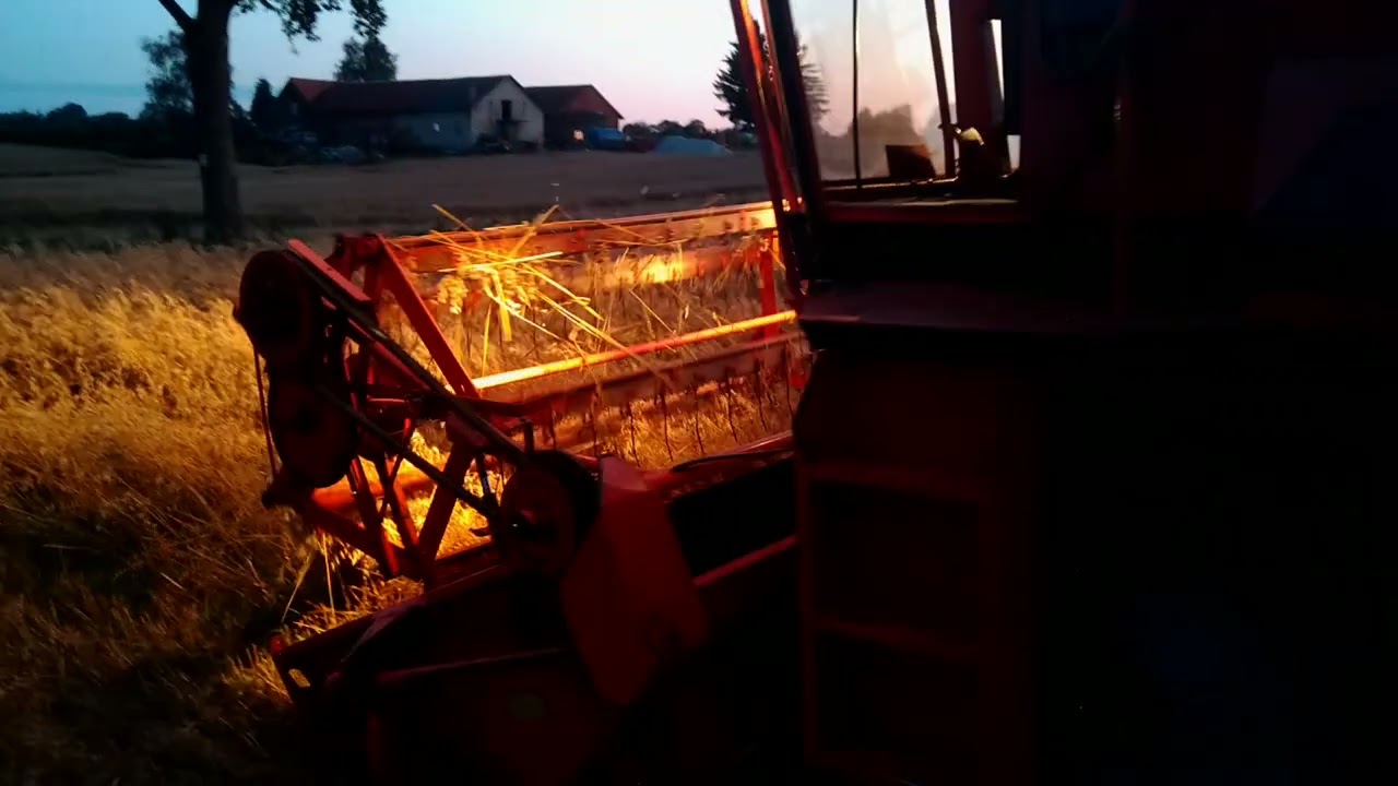 Żniwa 2024 🌾 Deutz Fahr M660 🚜