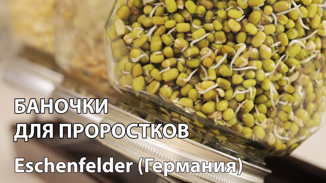 БАНКИ ДЛЯ ПРОРОСТКОВ Eschenfelder (Германия)