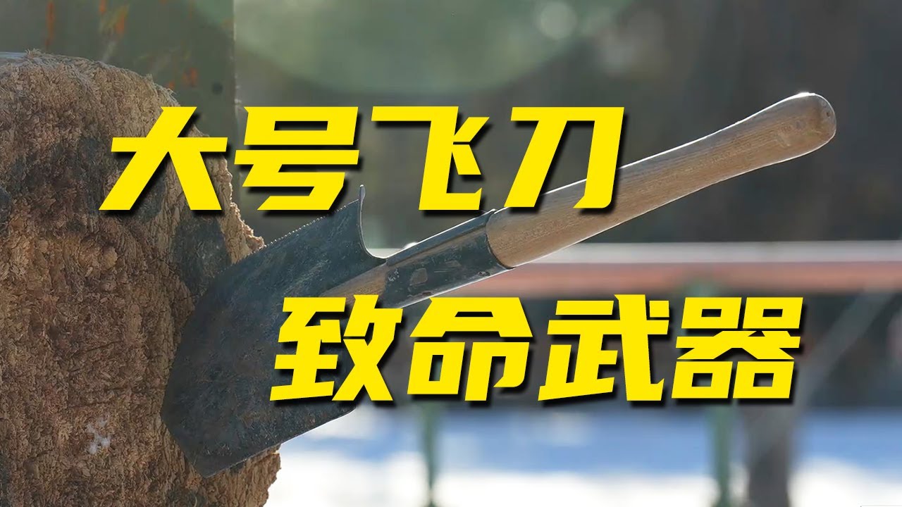“大号飞刀”一击毙敌！解放军使用工兵锹的方式又增加了！20260129 | 军迷天下