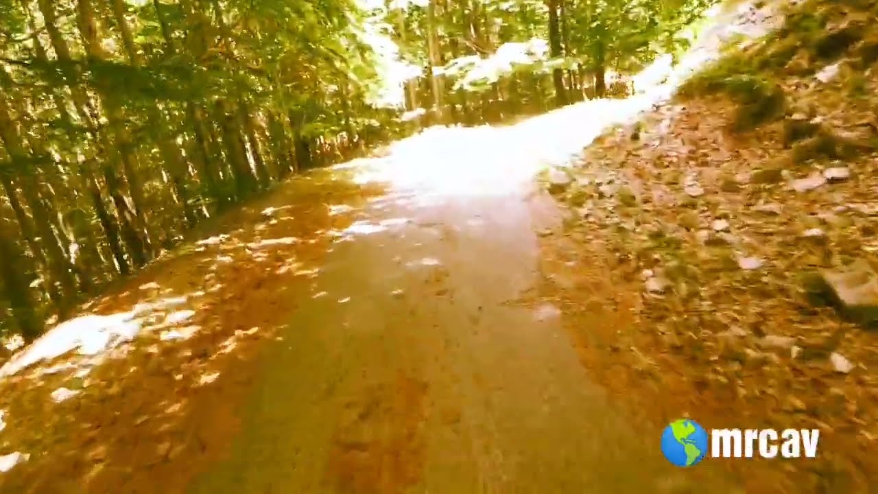 Campitello Matese, dal bosco di pietra al... giro d'Italia
