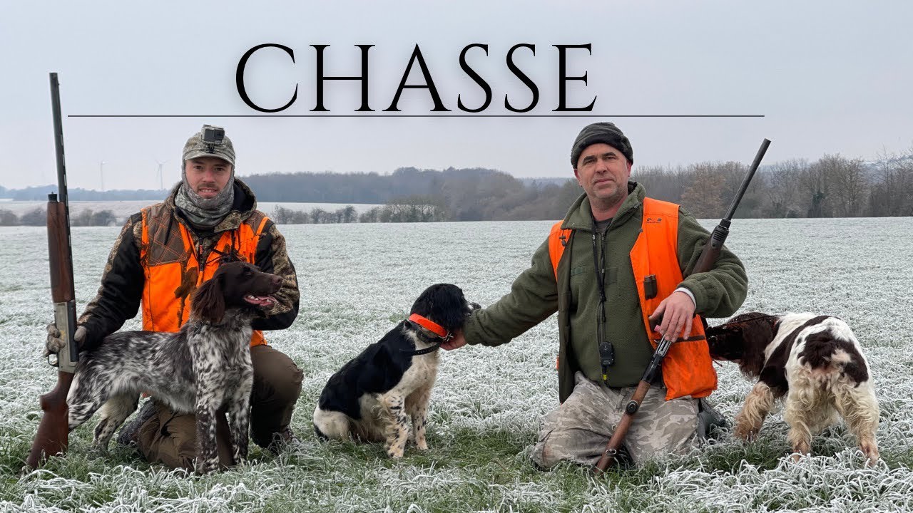 CHASSE EN PLAINE ET AU BOIS (lièvres, faisans, bécasses)+ BONUS LUNETTE SVBONY SV166