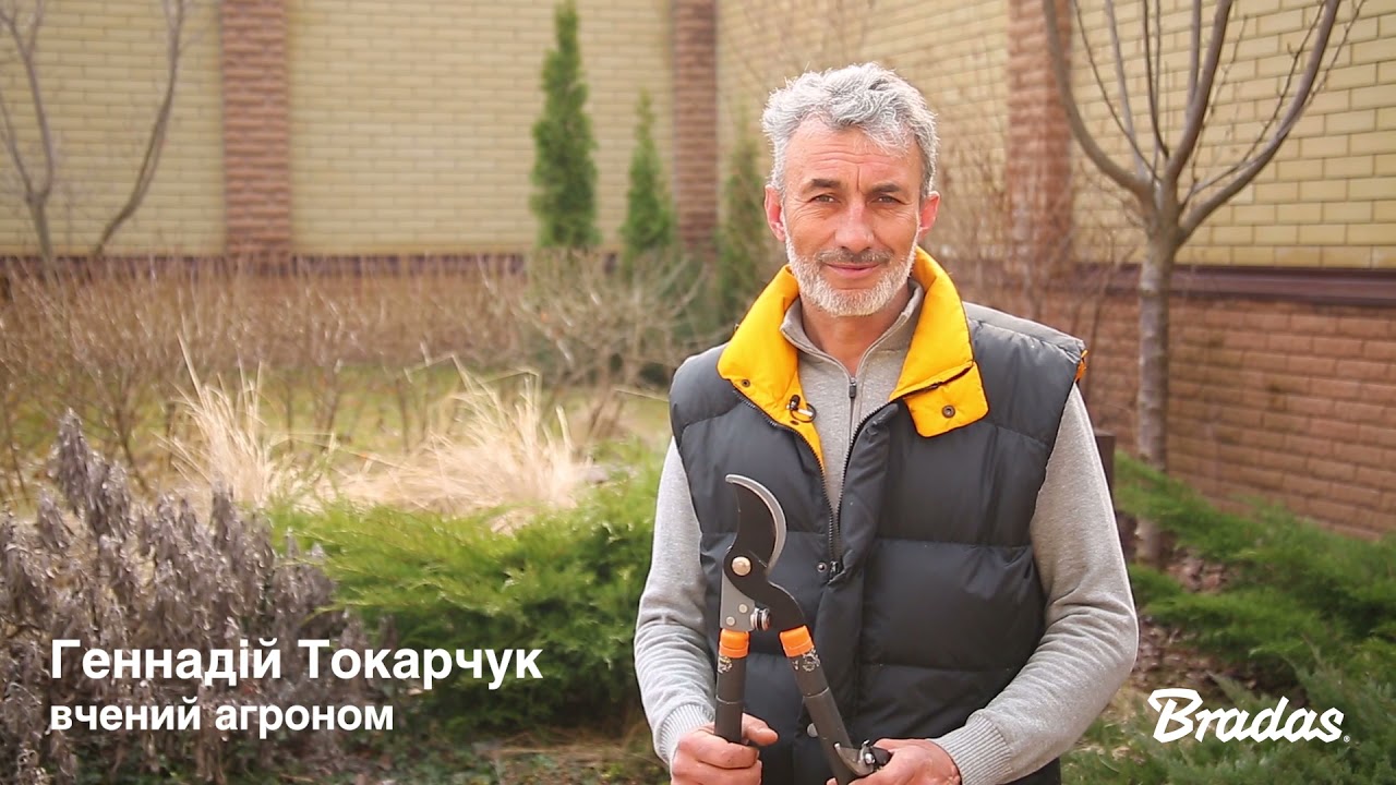 Відгук від експерта агронома про інструменти Bradas