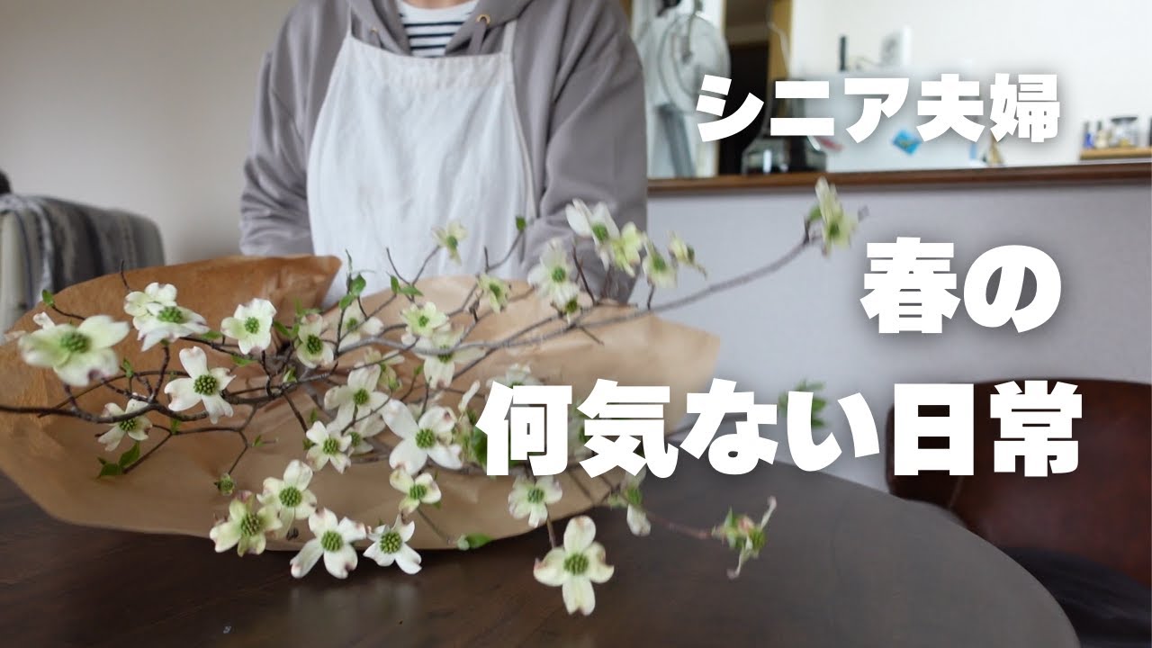 かけがえのない春の日常/豆ごはん/万博の想い出/ハナミズキ/シニアvlog