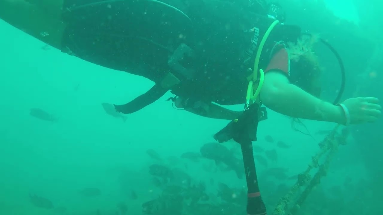 Cabo Verde 2025    Santo Antão Wreck
