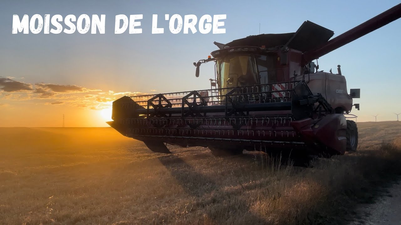 Moisson des orges au GAEC Thibault, Case IH Axial Flow 6150