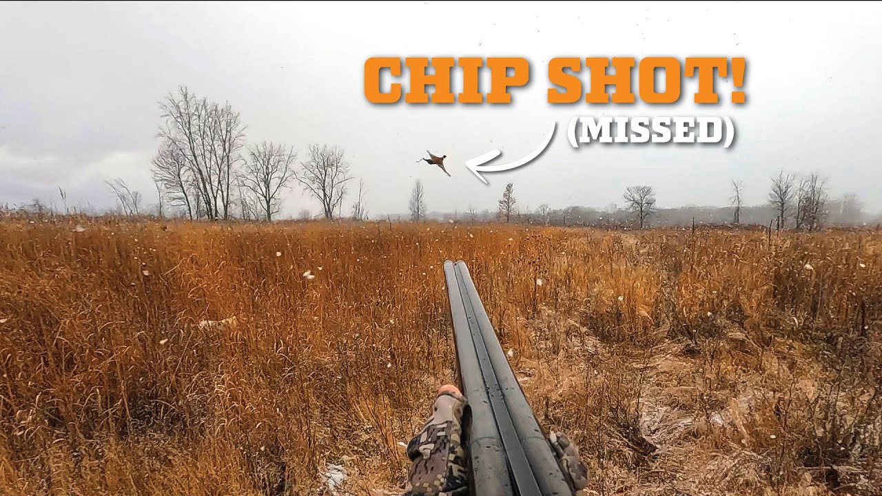 I Missed A LOT of Roosters on this Late Season Pheasant Hunt
