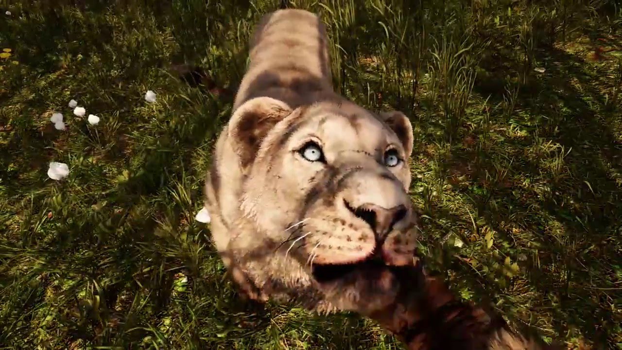 Far Cry Primal - Cave Lion Tamed