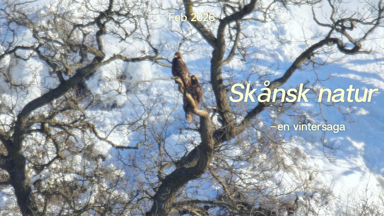 Skånsk natur