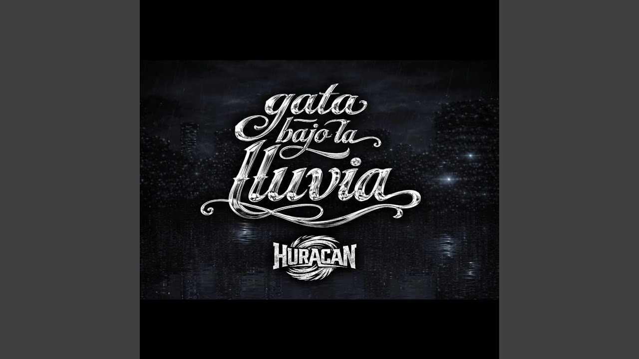 Gata bajo la lluvia