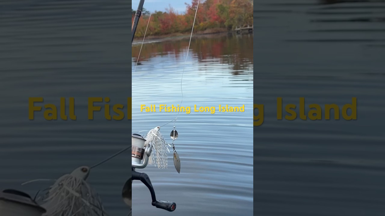 Freshwater Fall Fishing at Long Island&rsquo;s Forge Pond Calverton #bassfishing #freshwater #fishing #nyc