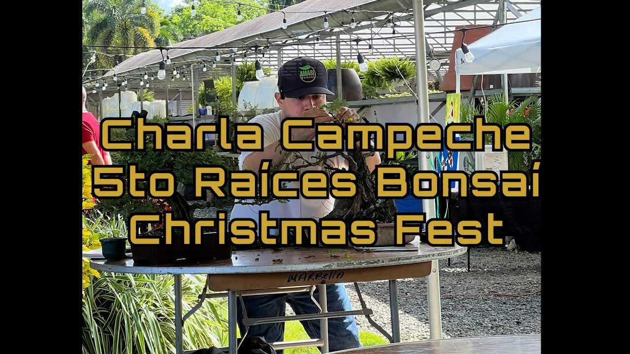 Charla de Campeche en el 5to Raíces Bonsái Christmas Fest - Amabi Bonsai Tropical Puerto Rico