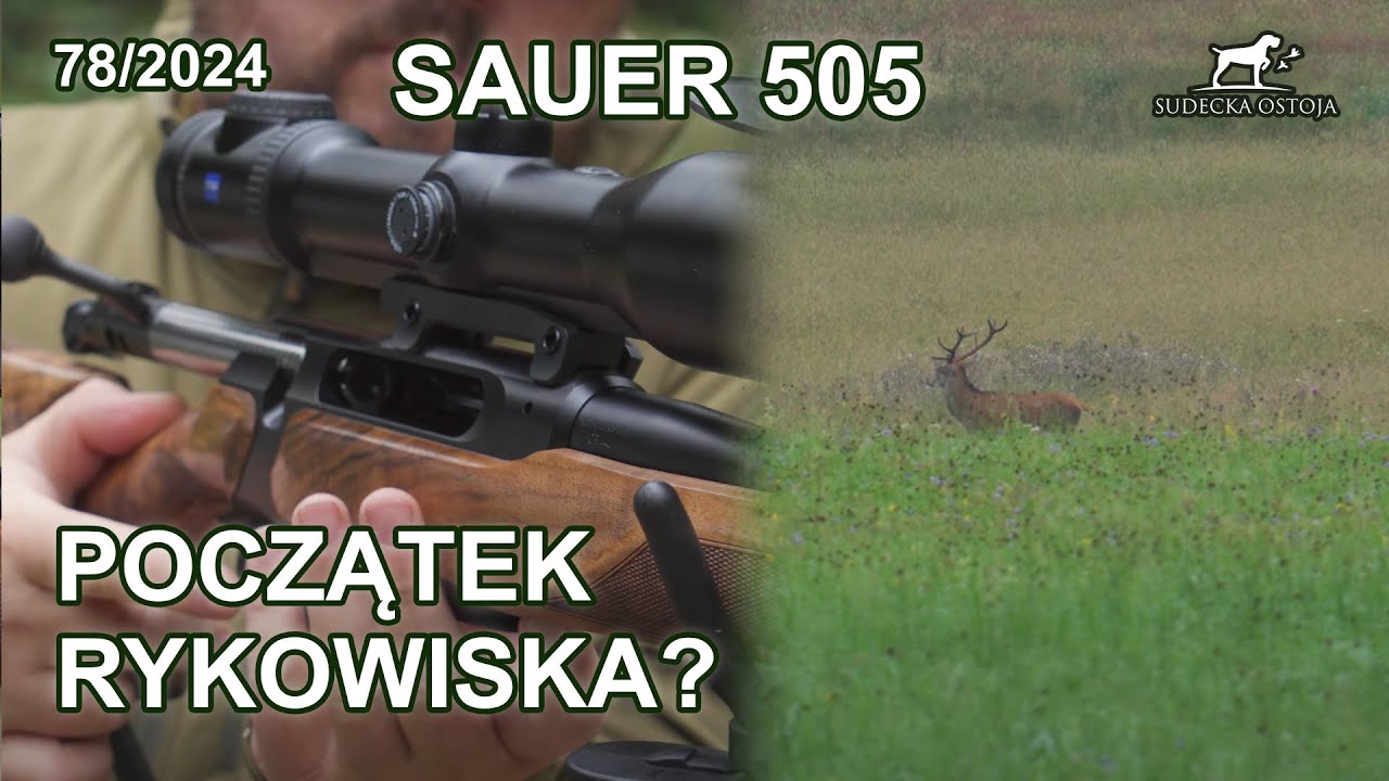 Początek rykowiska? Sauer 505 - SUDECKA OSTOJA 78/2024