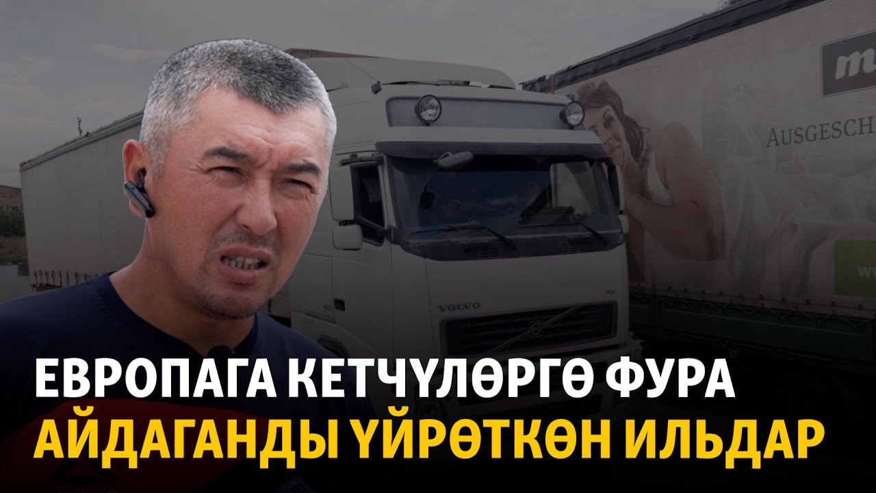 Европага кетчүлөргө фура айдаганды үйрөткөн Ильдар