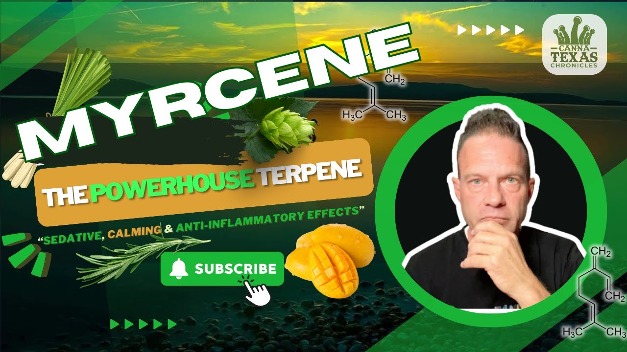 Unlocking the Secrets of Myrcene: A Potent Terpene