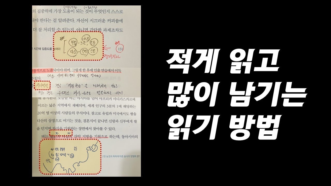적게 읽고 많이 남기는 읽기 방법 (읽는 힘 EP. 4)