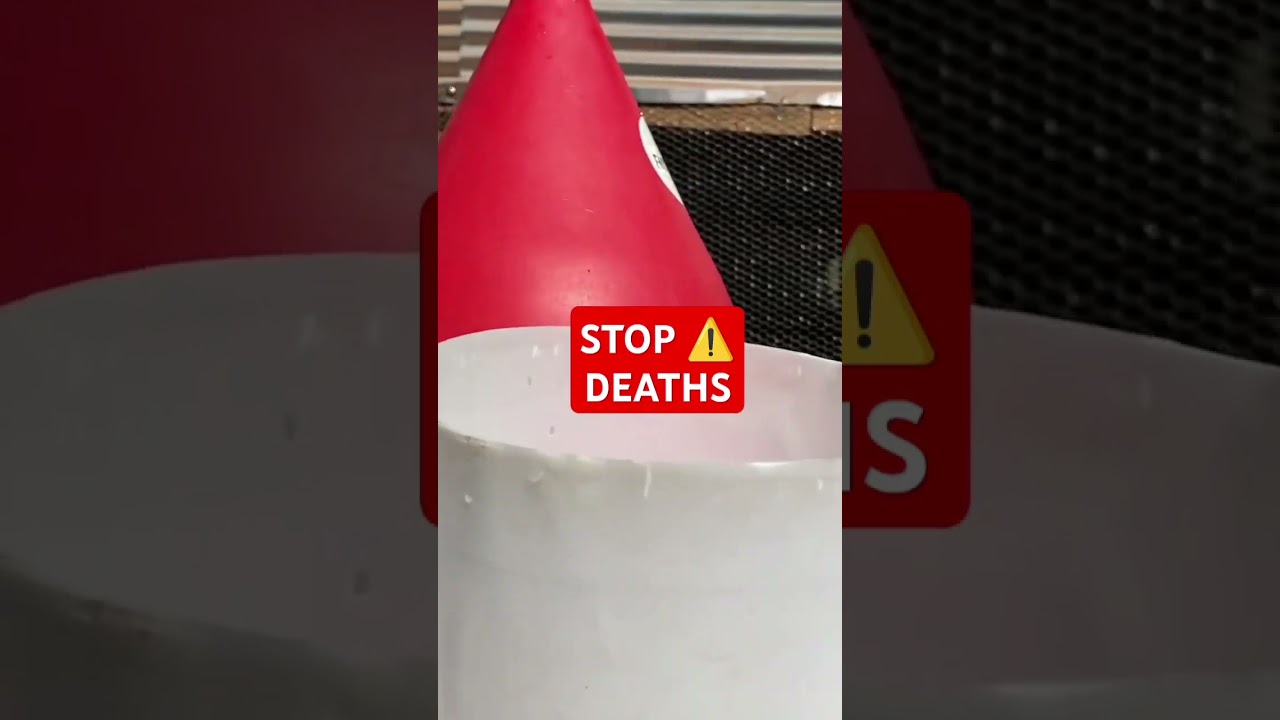 STOP🐥 DEATHS AND MORTALITY On Your Farm Like this. Watch here 👉🏽 #agribusiness #chicken #deaths