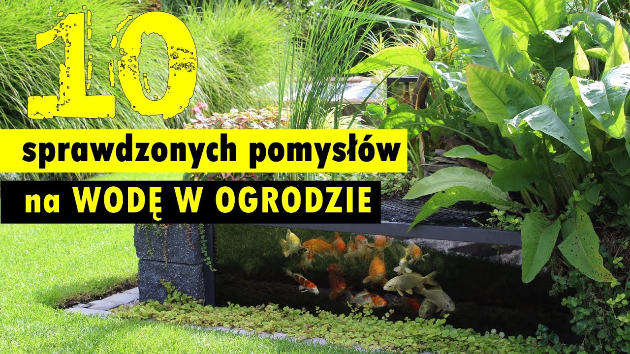 WODA W OGRODZIE - sprawdzone i oryginalne pomysły