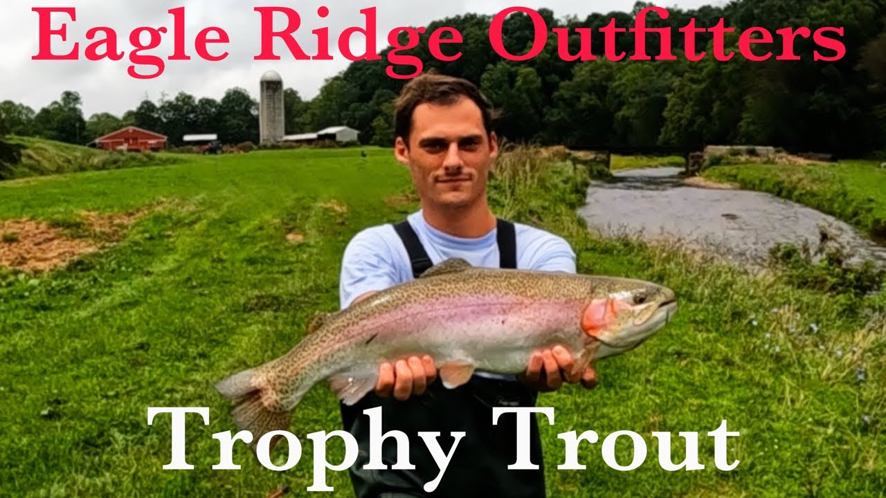 TROPHY Trout fishing @ Eagle Ridge Outfitters = MONSTER Rainbow Trout!! World FAMOUS Cripple Creek!