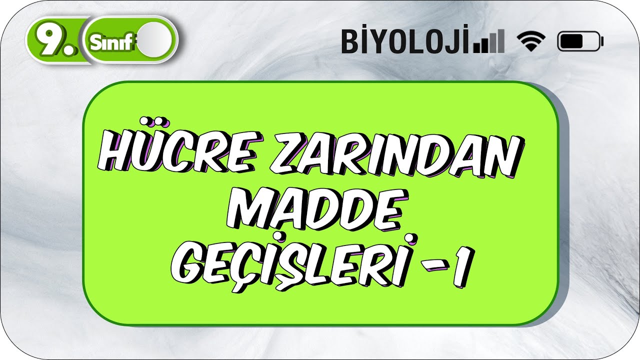 Hücre Zarından Madde Geçişleri - 1 | Öğrenme Garantili Özet Anlatım  #2023