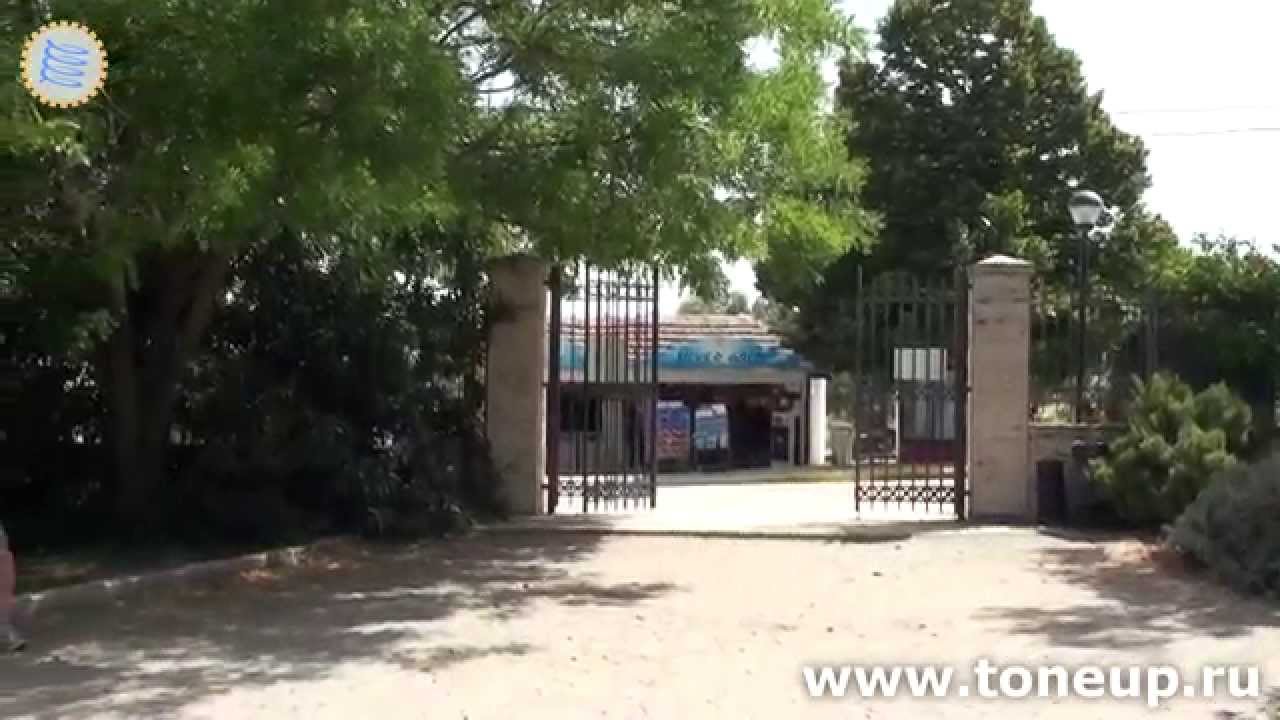 Вергина || Vergina