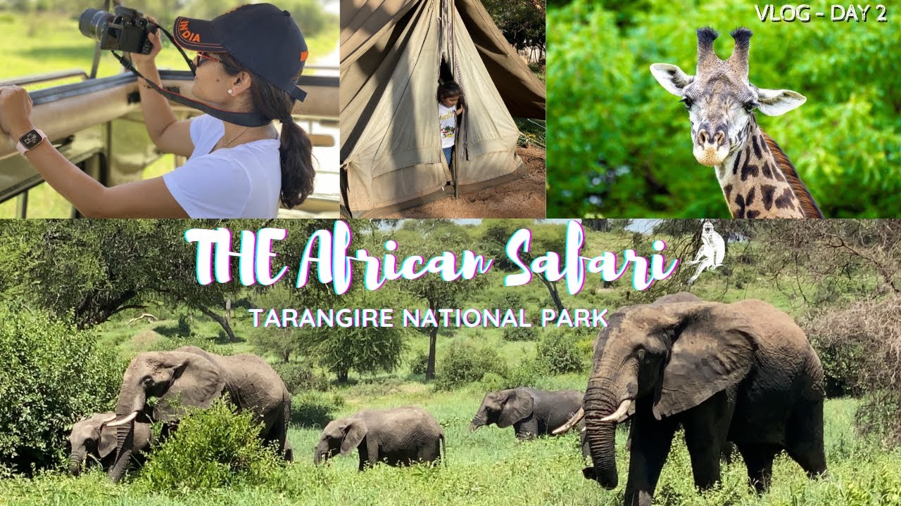 AFRICAN  NATIONAL PARK OF AFRICA II AFRICA SAFARI COST 2021
