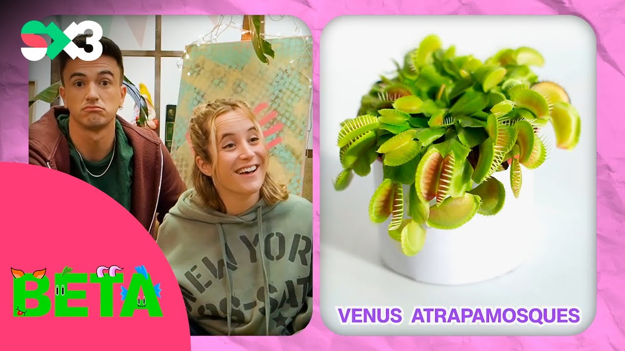 Parlem amb les plantes al Betapodcast