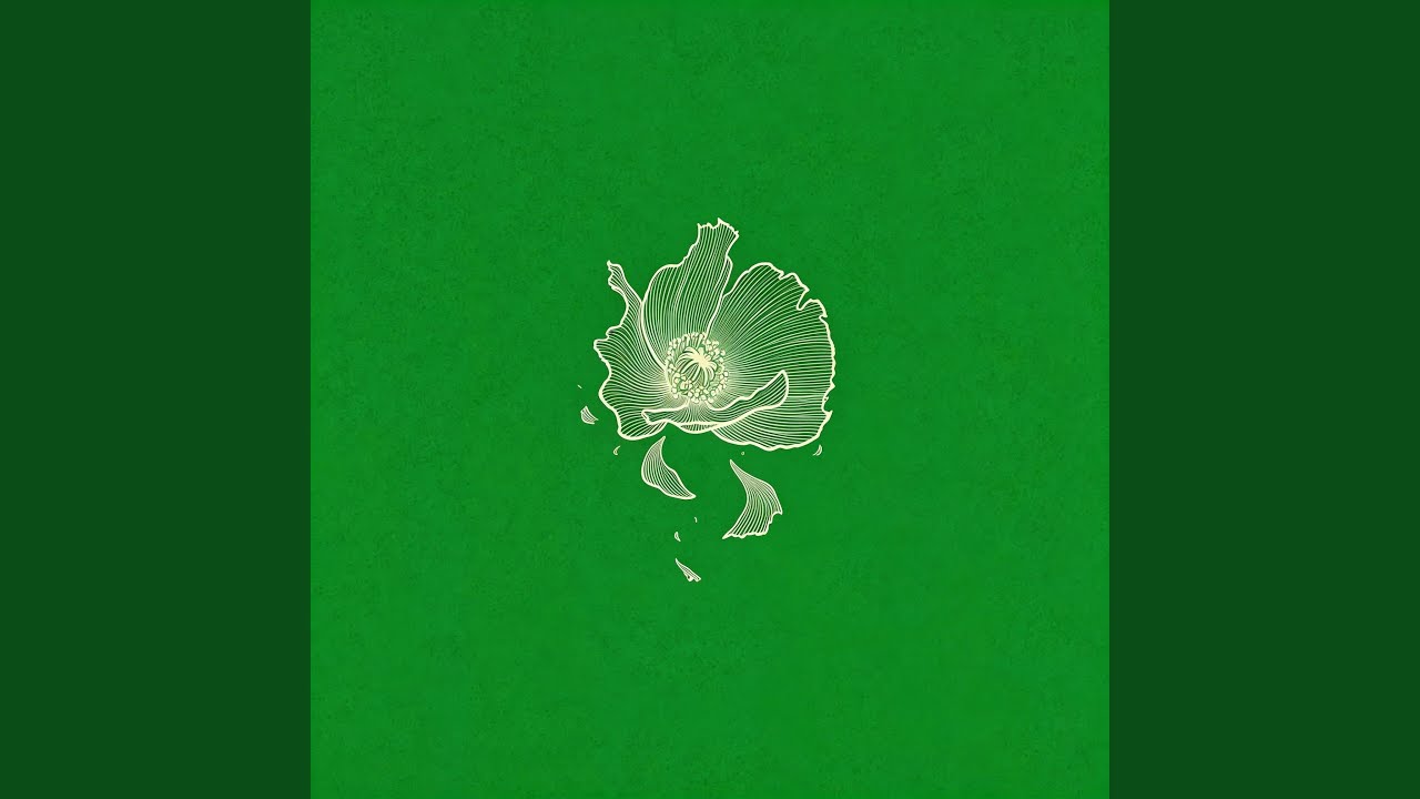 白菜对我笑（加速版）