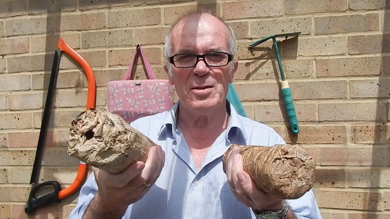 Log Burner. Home made cardboard logs for log burner and how to make them.   Make these with no tools