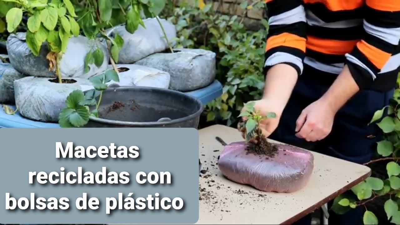 Macetas recicladas con bolsas de plastico