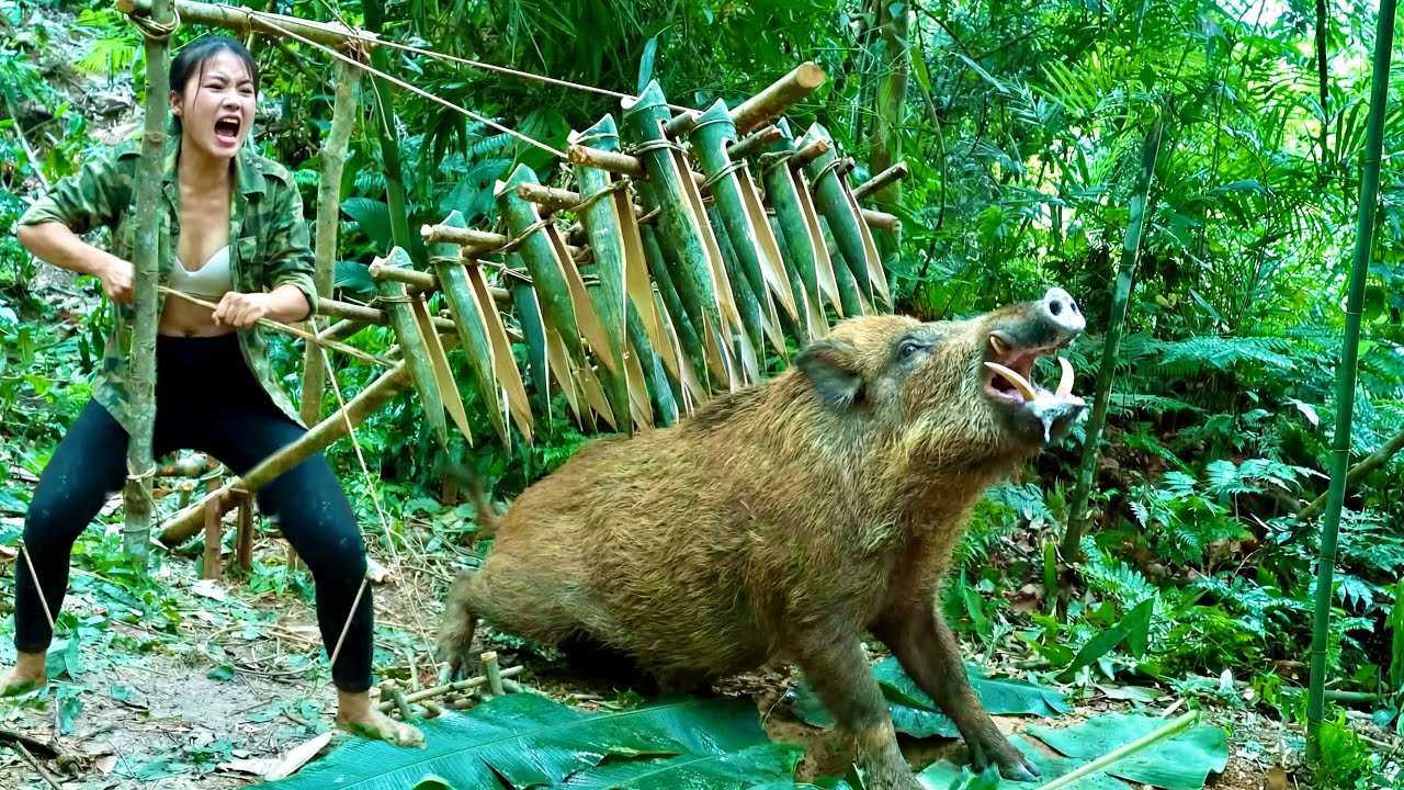 100 Days of Survival: Will the Giant Wild Boar Surrender to Bamboo Traps?