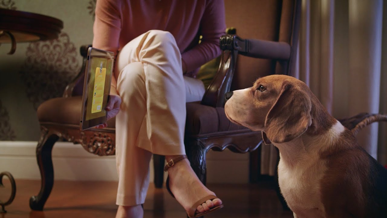 Petz created Pet-Commerce
