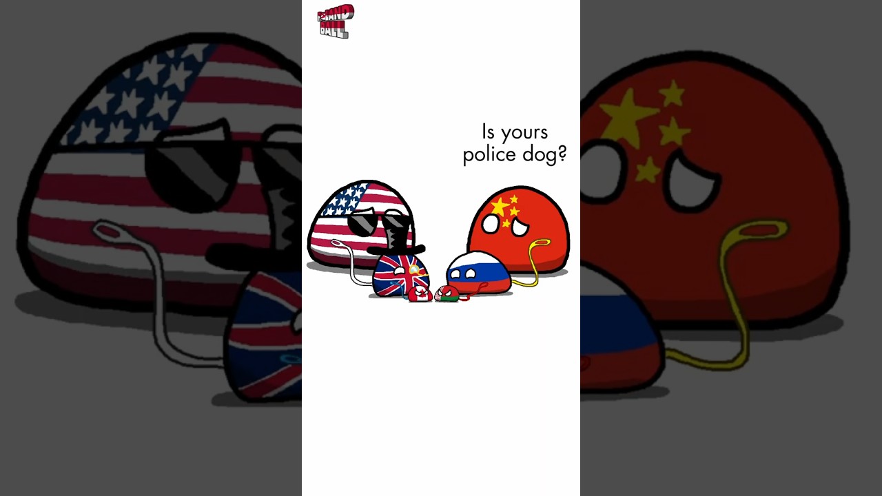 Pets
