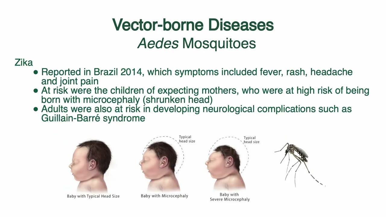 Notre Dame Learning: Diseases of Medical Importance in Mexico, LA and Caribbean (Module 1 Unit 1)