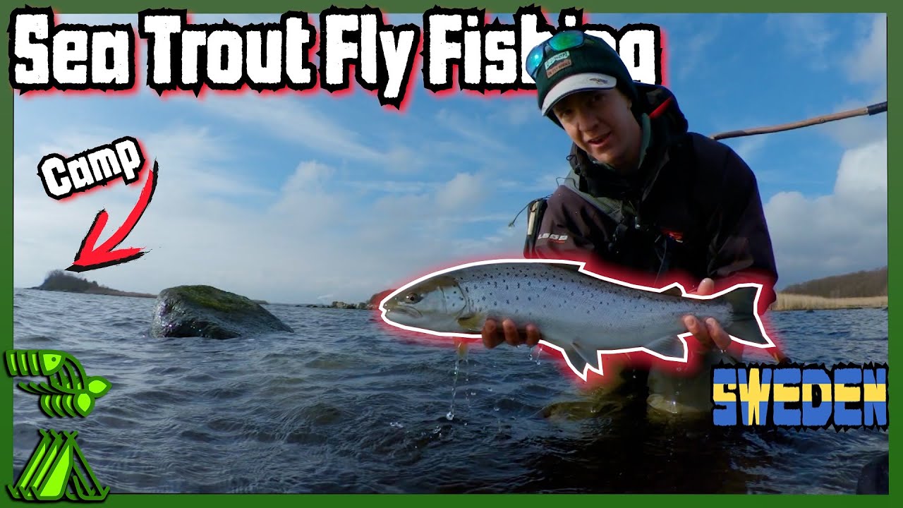 Sea Trout Fly Fishing. Island Camping. New PB (not the thumbnail fish)