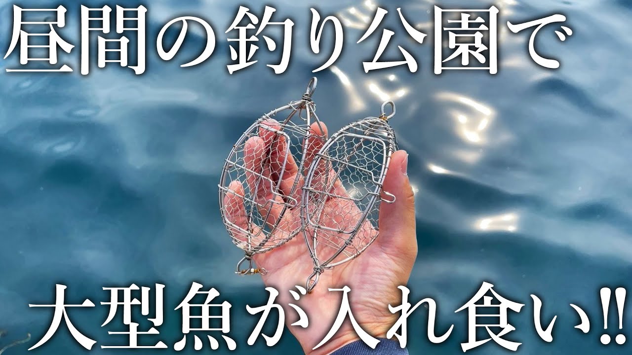 昼間から大型魚が入れ食い！釣り公園で超簡単に大物が釣れる「足元カゴ釣り」を紹介