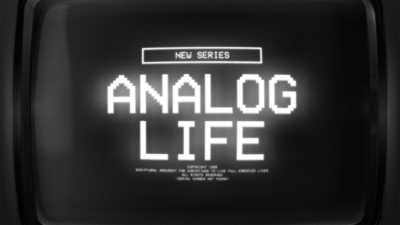 Week 4  Analog Life