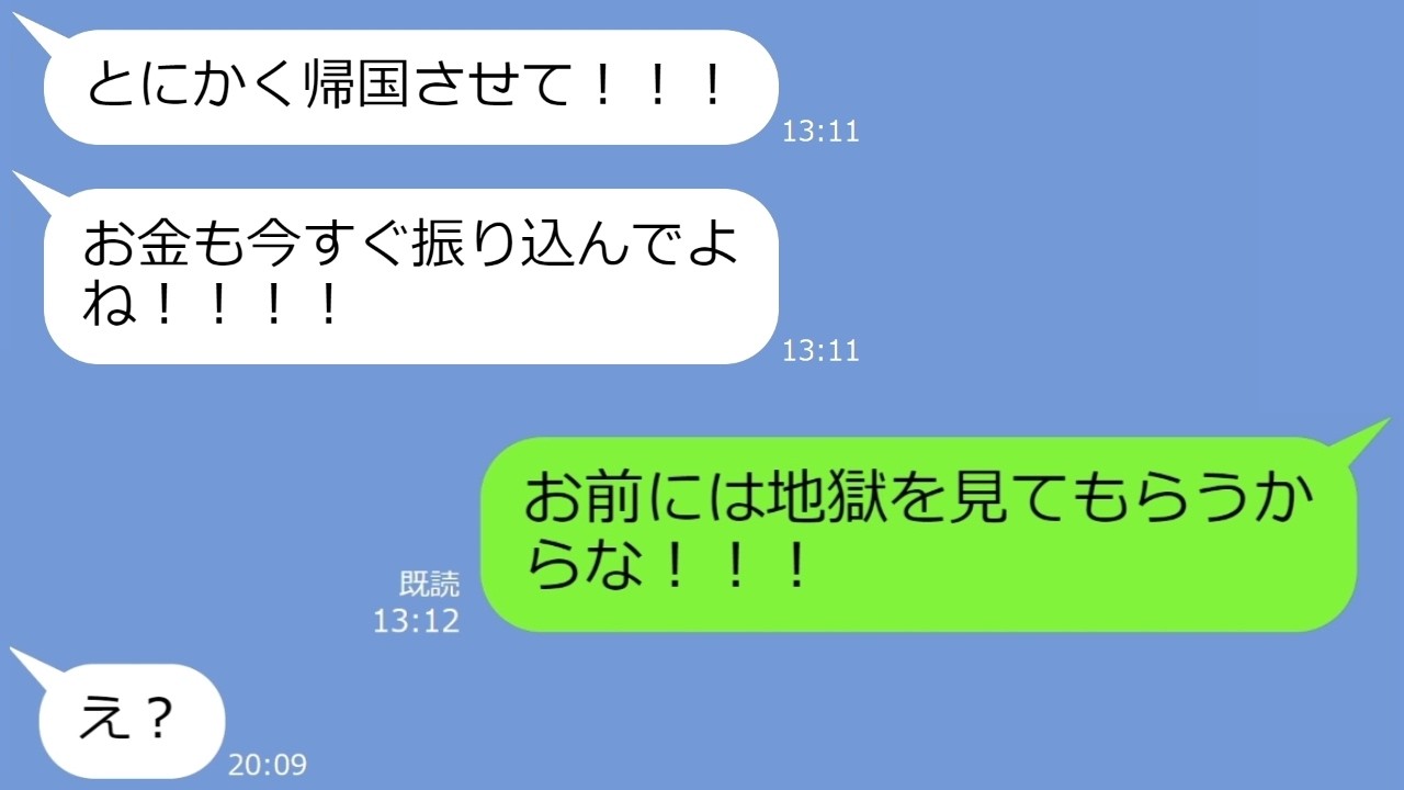 【LINE】親族一同で行くハワイ旅行を勝手にキャンセルして旅費200万円を奪ったDQN義妹「あなた達とはこれでおさらばよｗ」→1週間後、泣きのSOSラインがくる…ｗ【総集編】